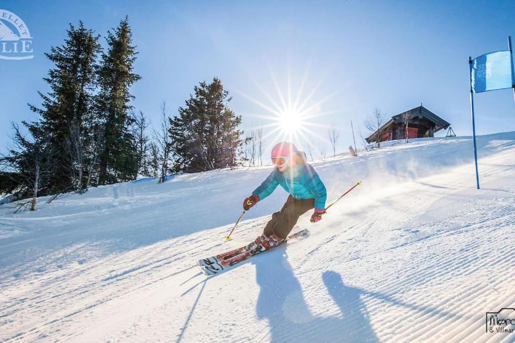 Golsfjellet - Bualie, Milevis Med Sykkelveier, Fiske Og Vannaktivitet, Ski Inn/Ut Til Alpinanlegg Og Langrennsloyper. Экстерьер фото