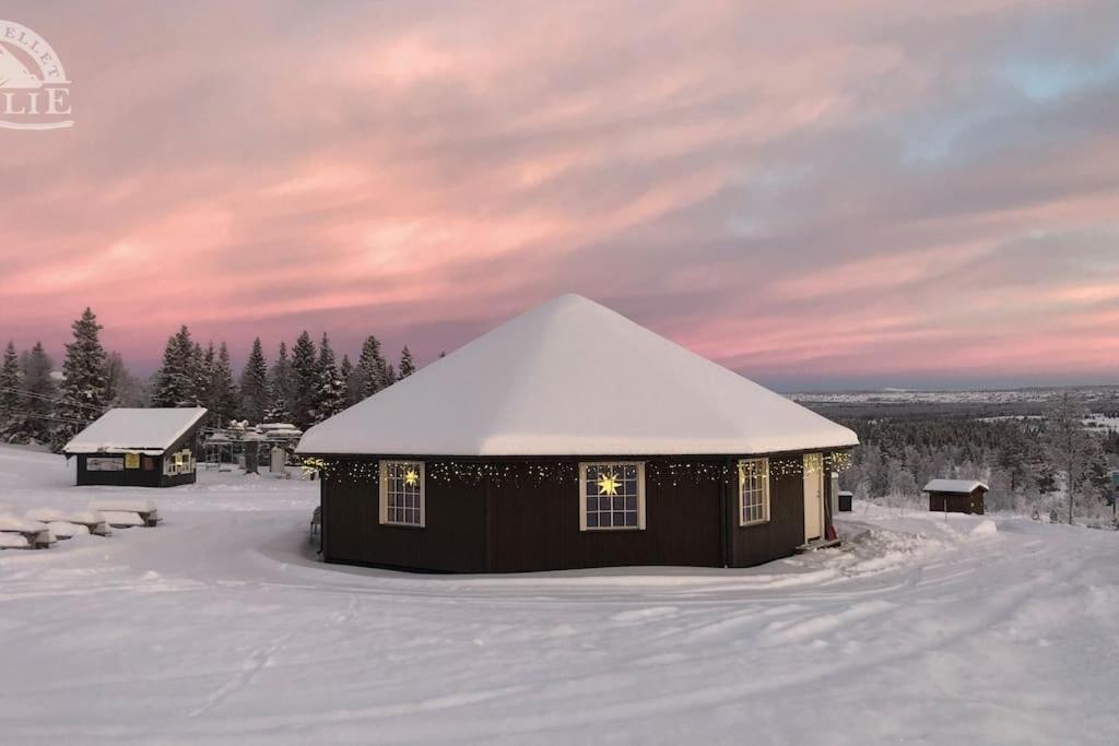 Golsfjellet - Bualie, Milevis Med Sykkelveier, Fiske Og Vannaktivitet, Ski Inn/Ut Til Alpinanlegg Og Langrennsloyper. Экстерьер фото