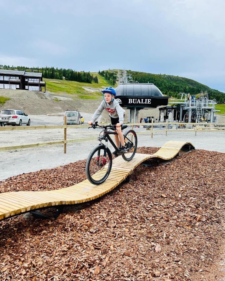 Golsfjellet - Bualie, Milevis Med Sykkelveier, Fiske Og Vannaktivitet, Ski Inn/Ut Til Alpinanlegg Og Langrennsloyper. Экстерьер фото